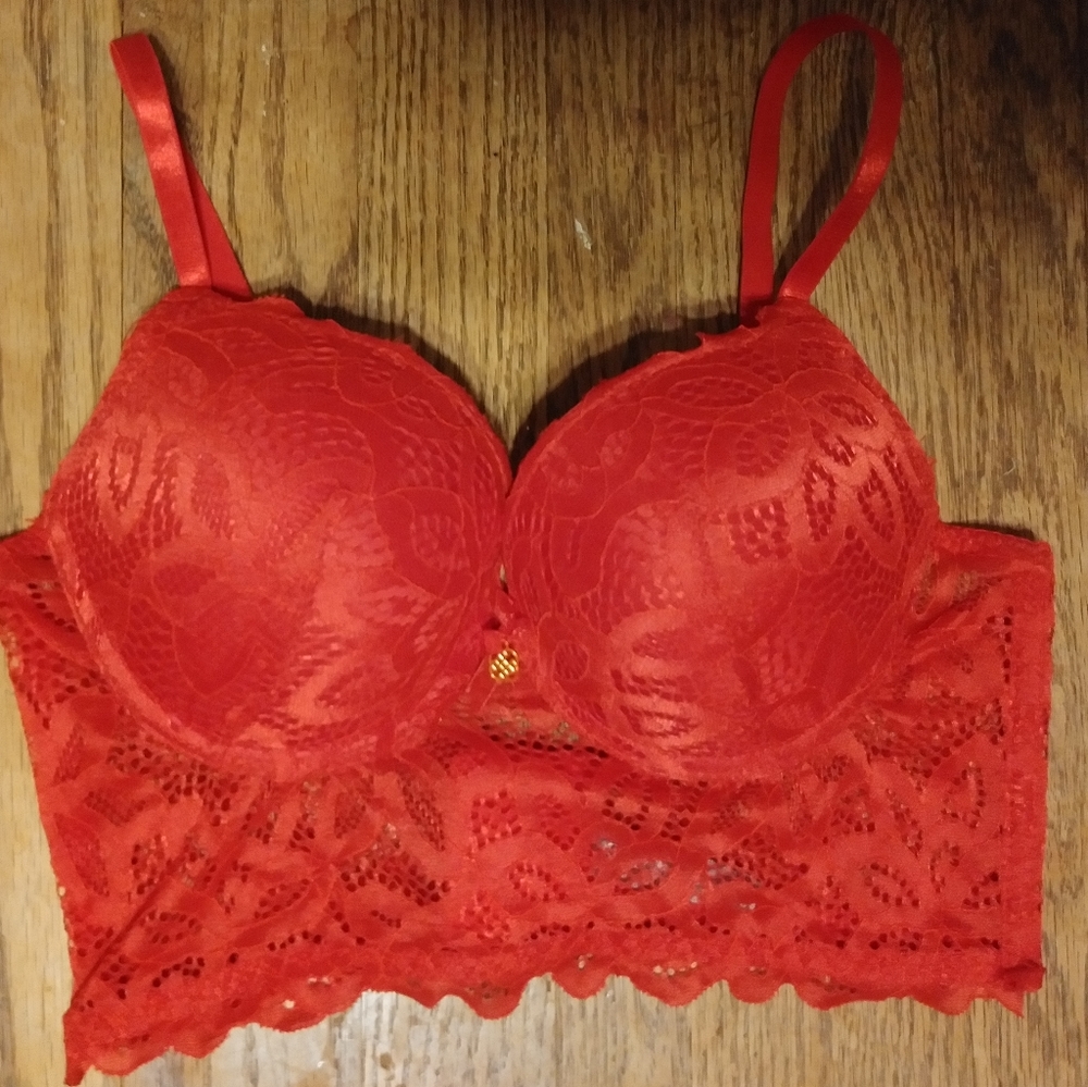 Daisy Fuentes Intimates Long line Lace Push Up Bra Hot Sauce Red - Picture 10 of 13